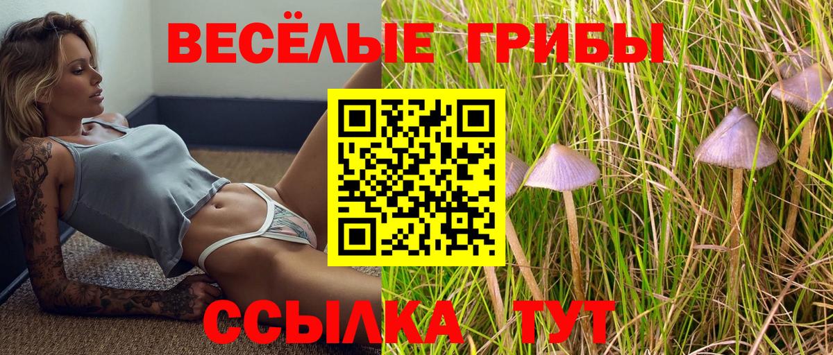 Галлюциногенные грибы прущие грибы Мурино