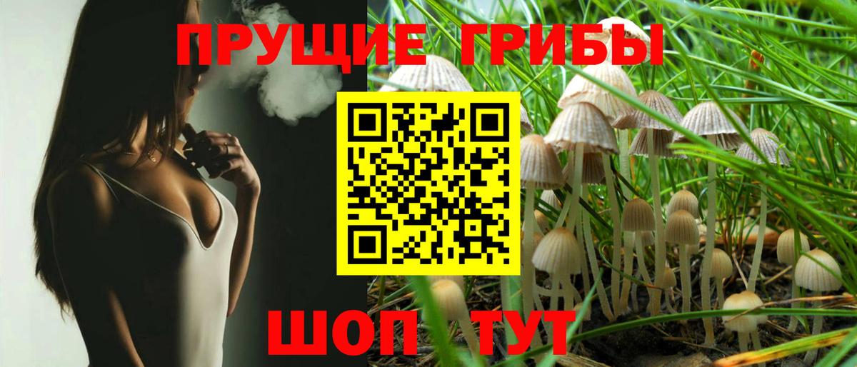 Мурино  Псилоцибиновые грибы GOLDEN TEACHER  Вход с VPN 